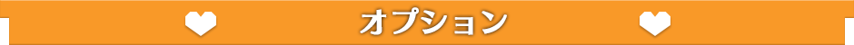 錦糸町 ホテヘル ウルトラハピネス オプション